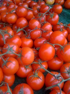 Tomatoes on the vine