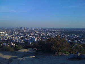 City Views from Runyon Canyon